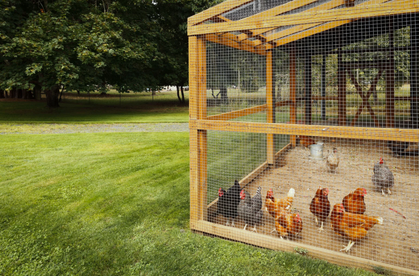 quel est le prix d'un poulet fermier