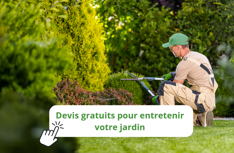 entretien jardin gratuit