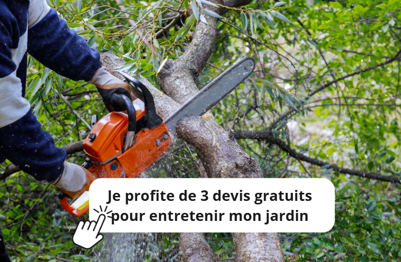 entretien jardin gratuit