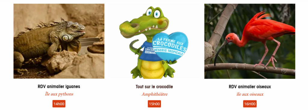 Ferme au crocodile activite