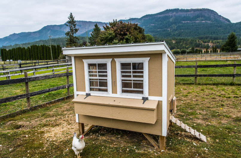porte du poulailler automatique