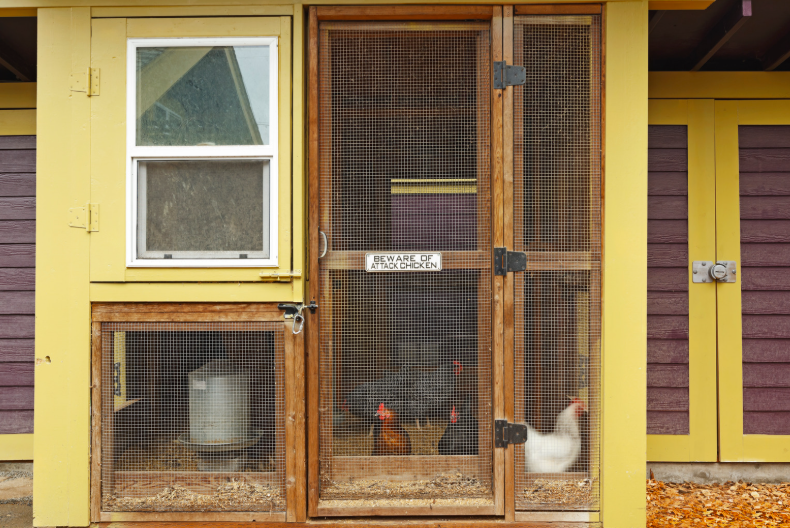 automatiser la porte du poulailler