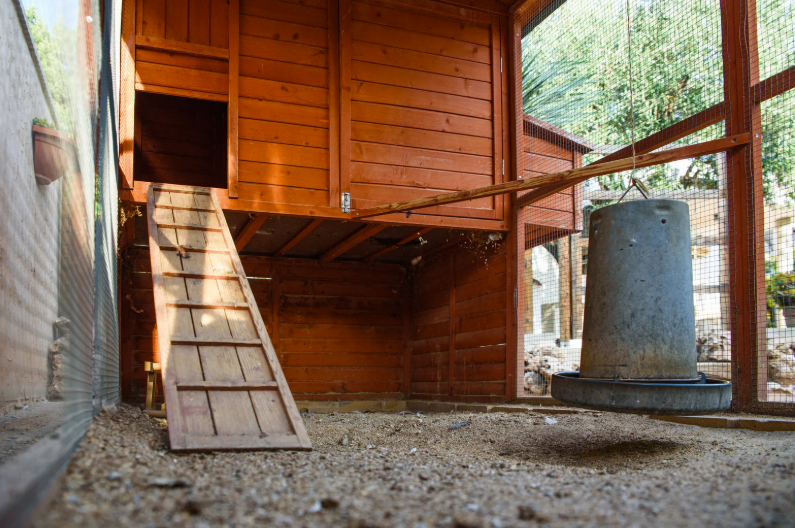 Quelle taxe pour un poulailler en 2026