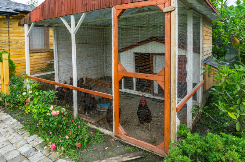 taxe pour un poulailler en 2026