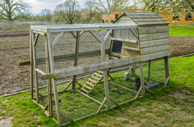 Quelle taxe pour un poulailler en 2026