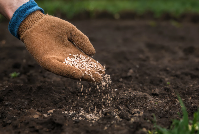 Comment faire un engrais hydroponique maison