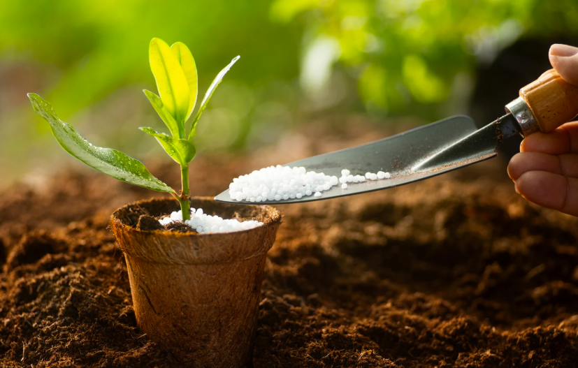 Comment faire un engrais hydroponique maison ? Guide complet pour cultiver sans terre