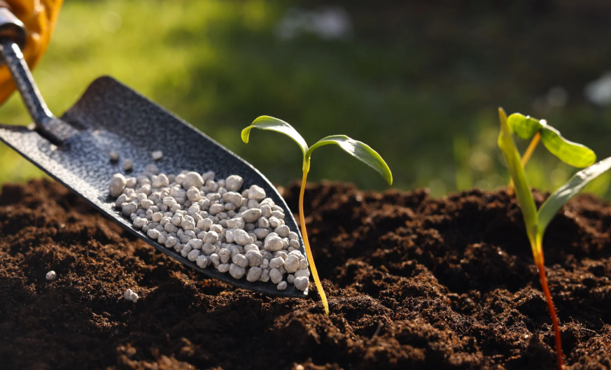 Comment faire un engrais hydroponique maison