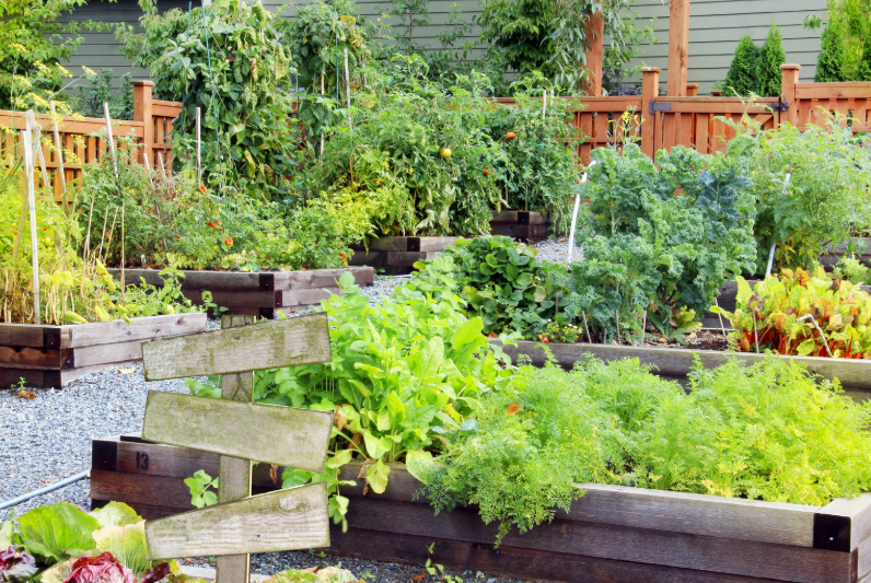 Astuces et conseils pour réussir l&rsquo;installation d&rsquo;un carré potager