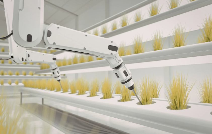 aquaponie laboratoire