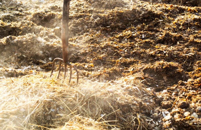 quantité de fumier de cheval par m² pour un potager