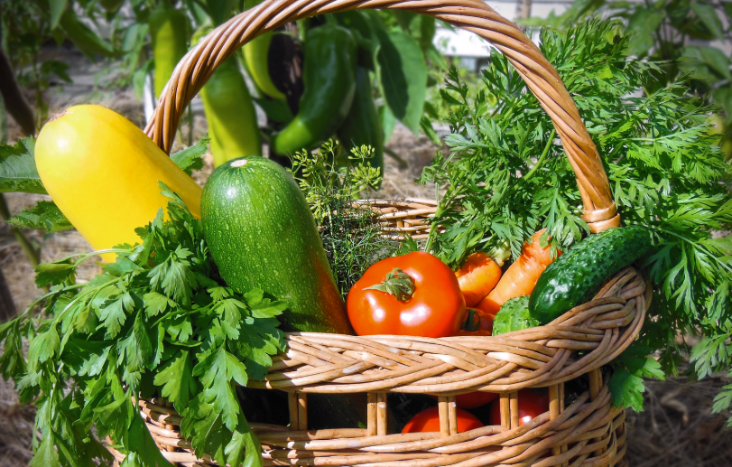 Le calendrier des légumes de saison