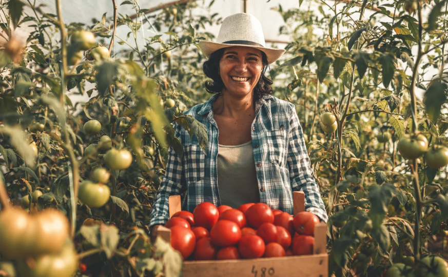 différence entre un fermier et un agriculteur