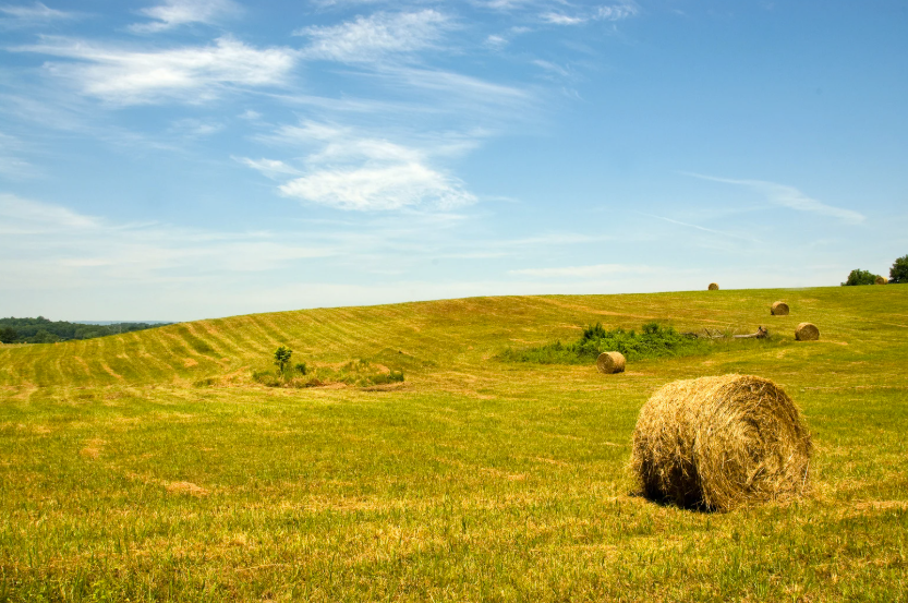 différence entre un fermier et un agriculteur