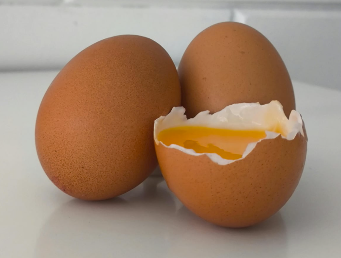 Comment savoir si un œuf est bon ? Tests simples et fiables
