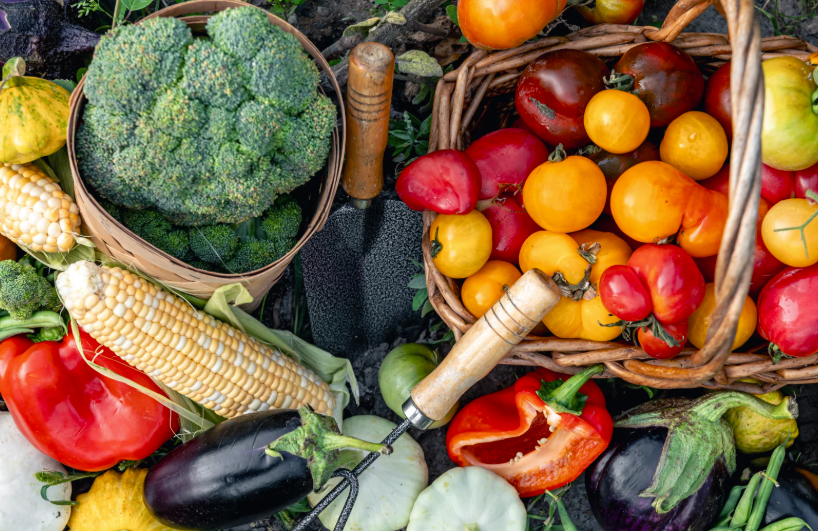 Le calendrier des légumes de saison